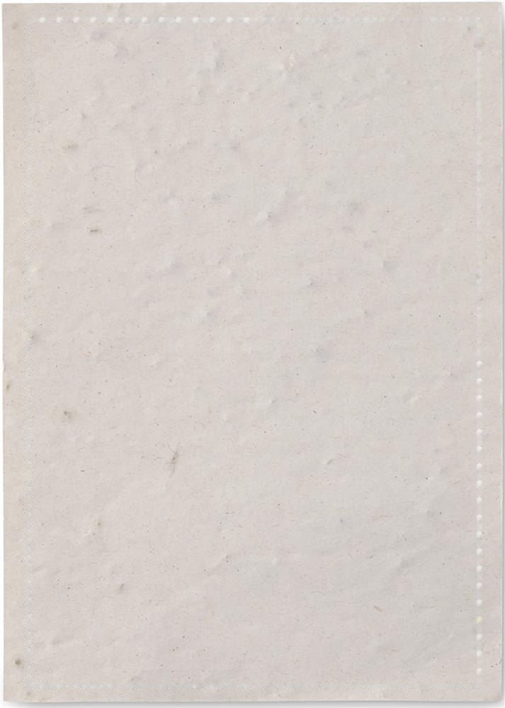 ASIDO - A6 zaadpapier wilde bloemen — drukvlak op de voorzijde