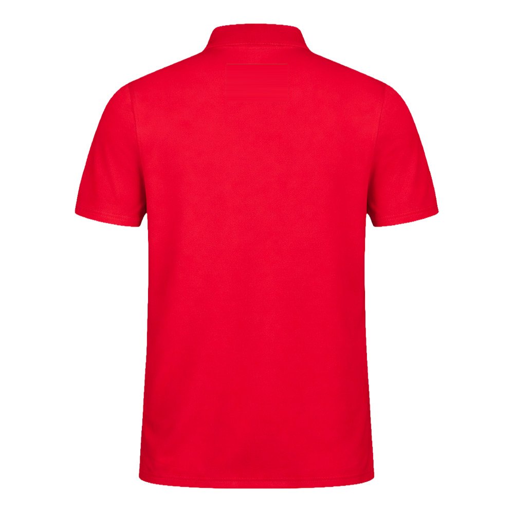 Polo Shirt Dekrom — drukvlak hoge rug