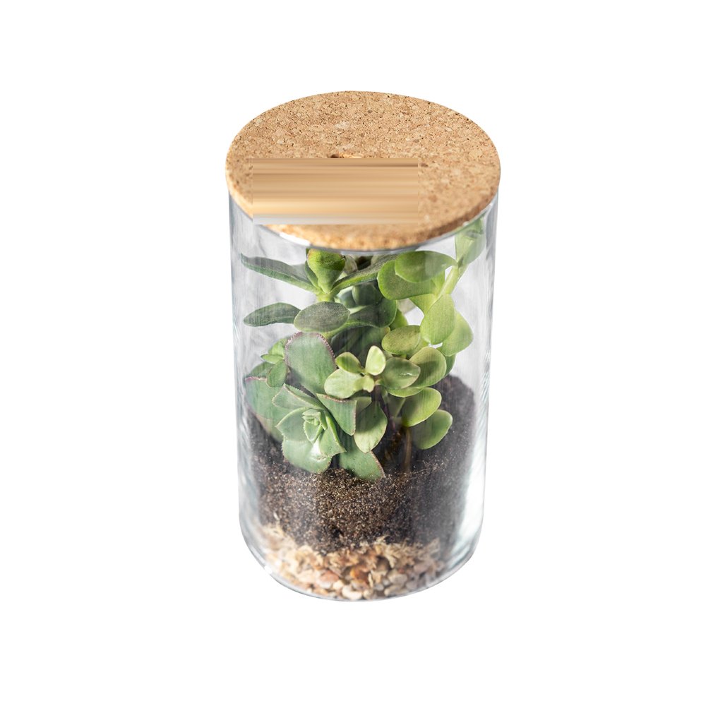 Terrarium Anymak — drukvlak op de deksel