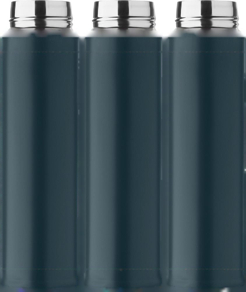 BOTS - Dubbelwandige fles 300ml — drukvlak drukvlak 1