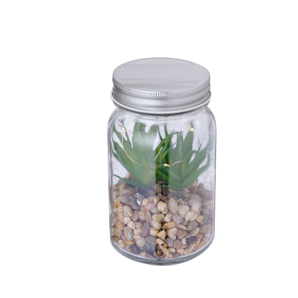 Decoratieve Plant Kyala — drukvlak op het deksel