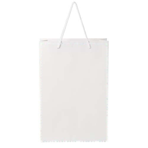Handgemaakte 170 g/m2 integra papieren tas met PP woven handgrepen - 24 x 9 x 36 cm — drukvlak beide zijden