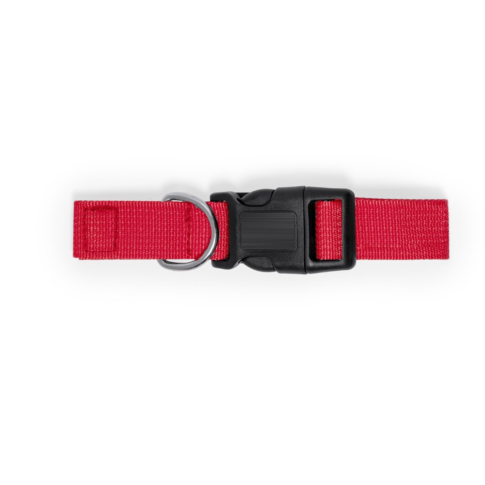 Halsband Mastif — drukvlak groot op de gesp