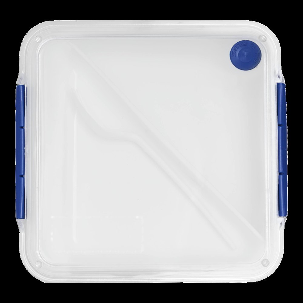 DELICIOUS - Lunchbox — drukvlak op de transparante deksel